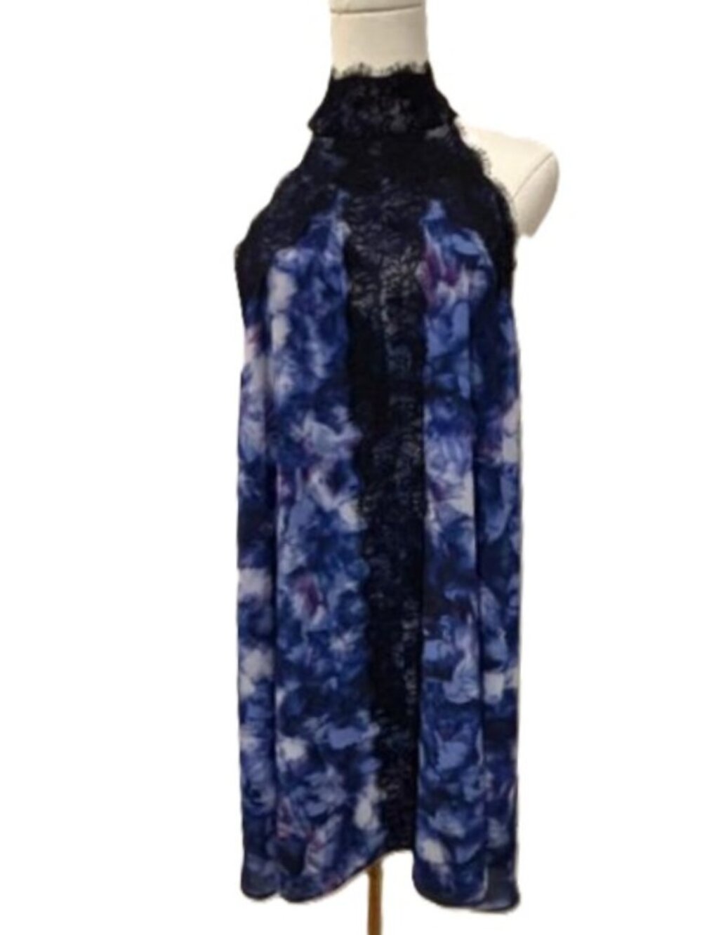 Badgley Mischka Sleeveless Lace Neck Pattern Chiffon Trapeze Dress Sz-4 NWT $199